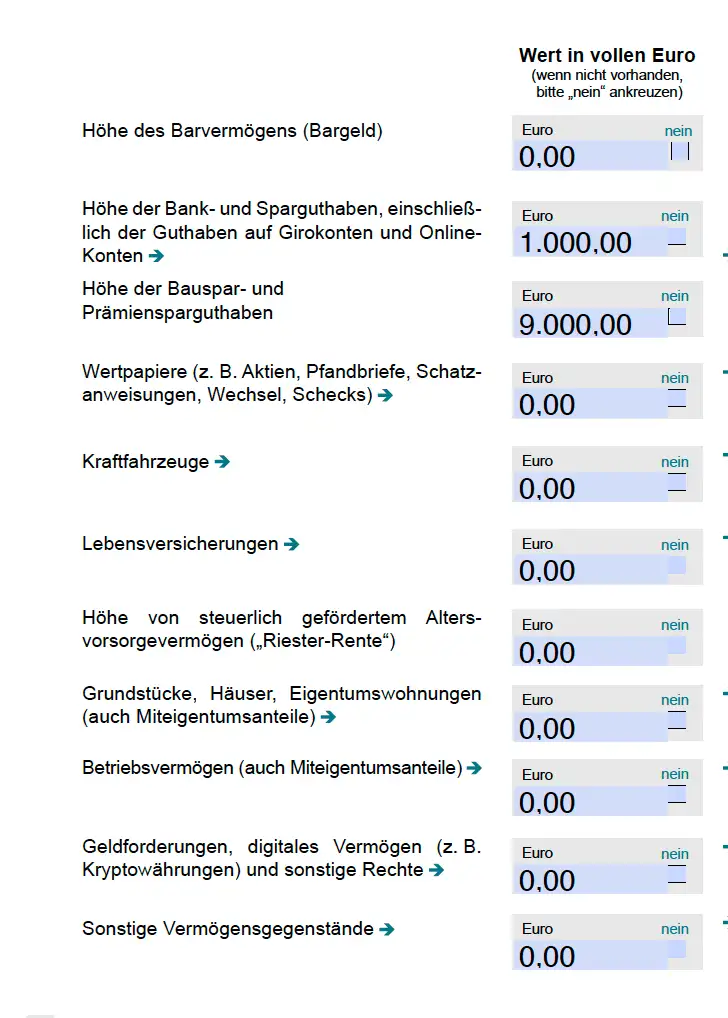 BAföG Vermögen