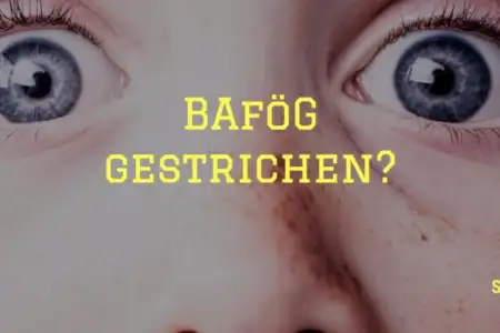 BAföG Leistungsnachweis