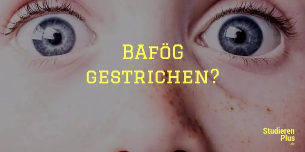 BAföG Leistungsnachweis