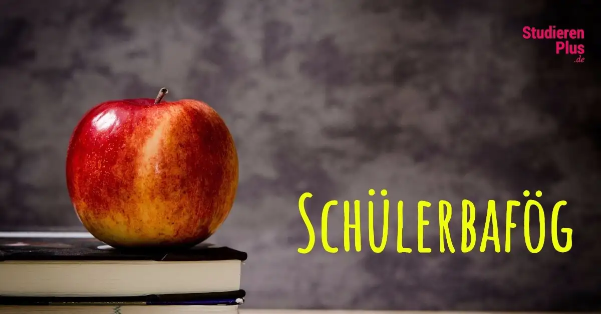 Schüler-BAföG