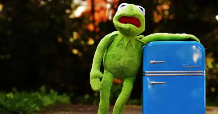 Kühlschrank Kaputt