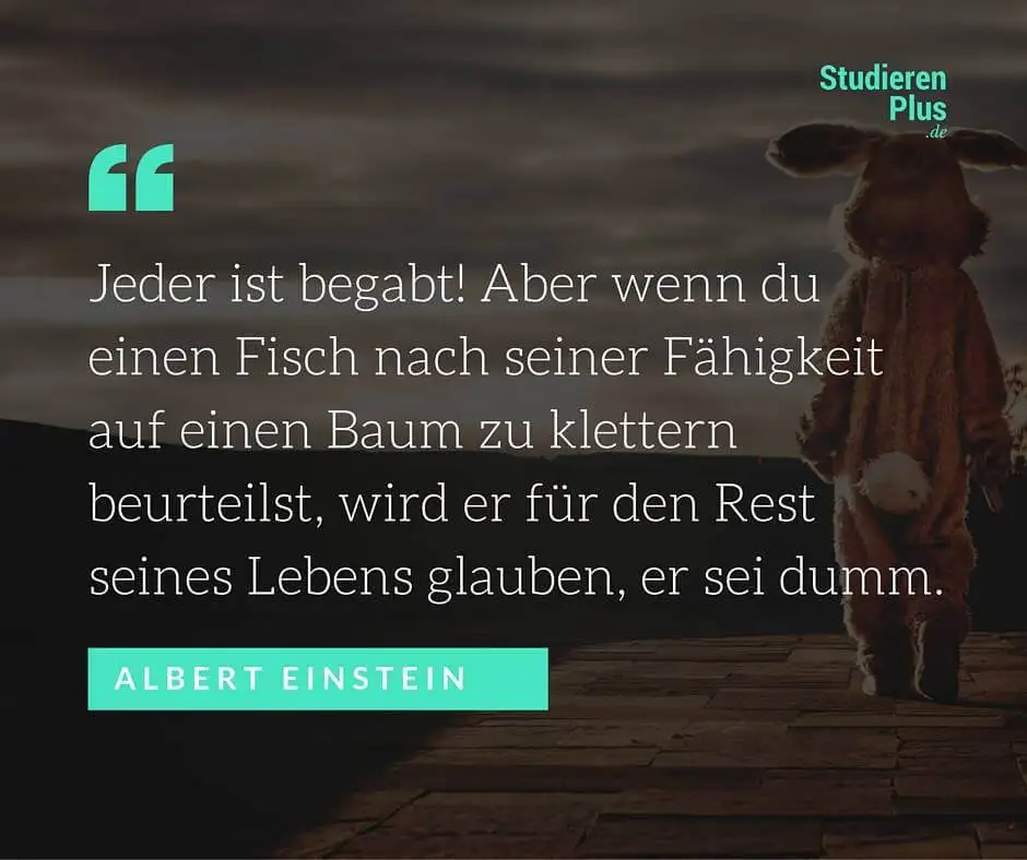 Zitat Einstein – Warum dein Schulzeugnis scheißegal ist