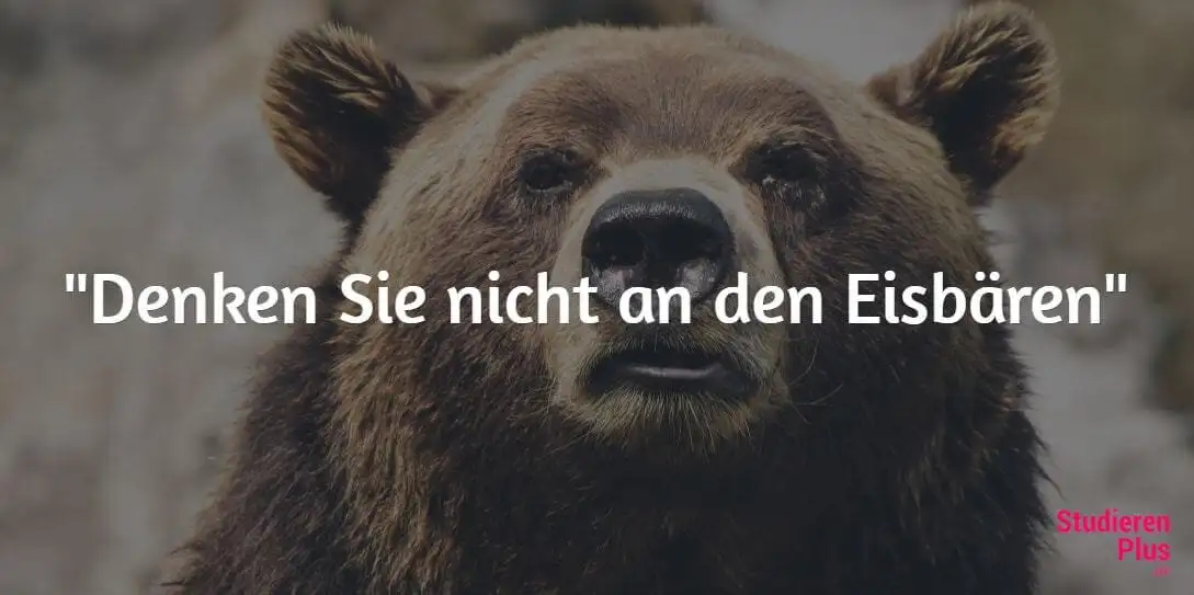 eisbaer