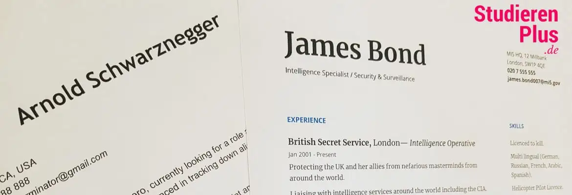 Lebenslauf Beispiel – Tipps und Tricks für erfolgversprechende Bewerbungen samt eindrucksvollem Lebenslauf