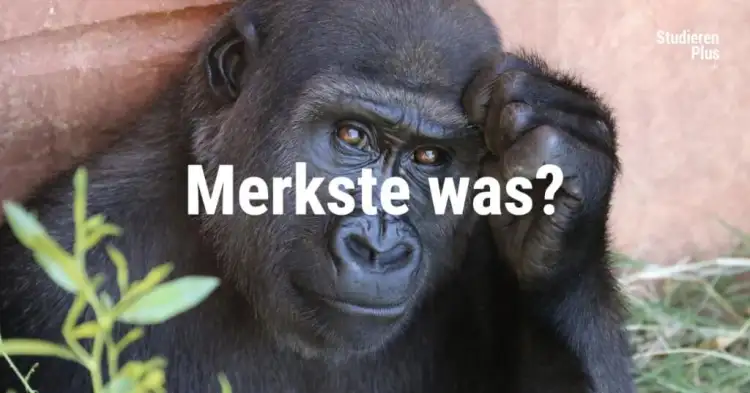 Auswendiglernen