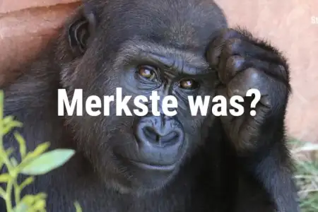 Auswendiglernen