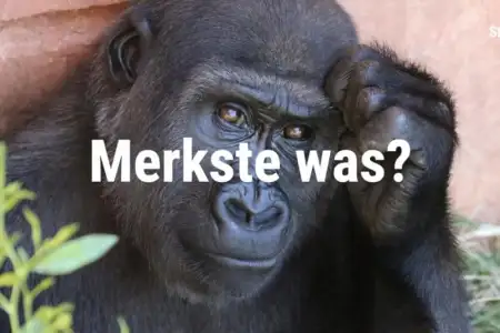 Auswendiglernen