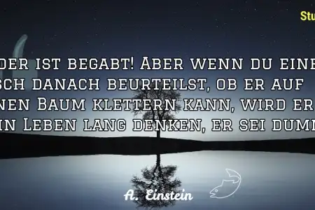Nachteilsausgleich
