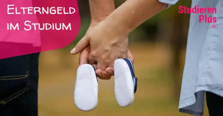 Elterngeld für Studenten